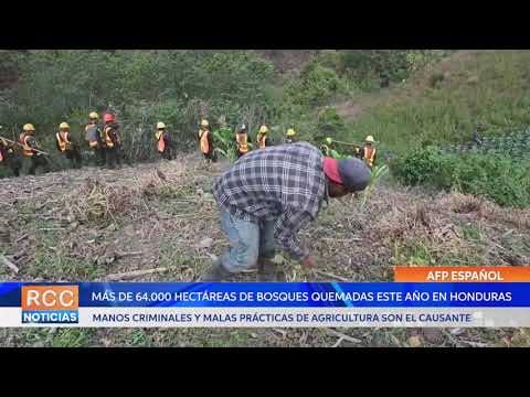 Más de 64.000 hectáreas de bosques quemadas este año en Honduras