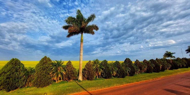 Inicio de semana laboral con ambiente cálido e inestable