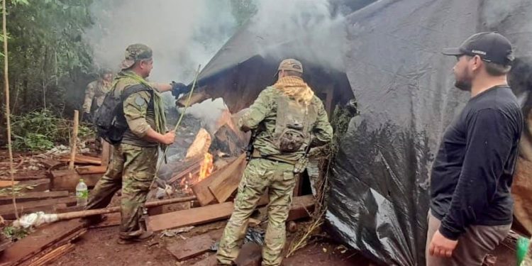 Eliminan campamentos de producción de marihuana en Itapúa