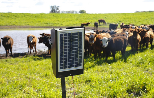 Sistema de pastoreo racional intensivo estará presente como una de las novedades de la Expo Pioneros del Chaco