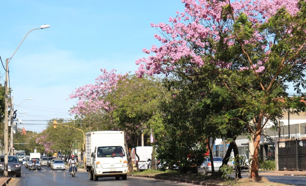 Meteorología anuncia un jueves con clima fresco a cálido Meteorología anuncia un jueves con clima fresco a cálido