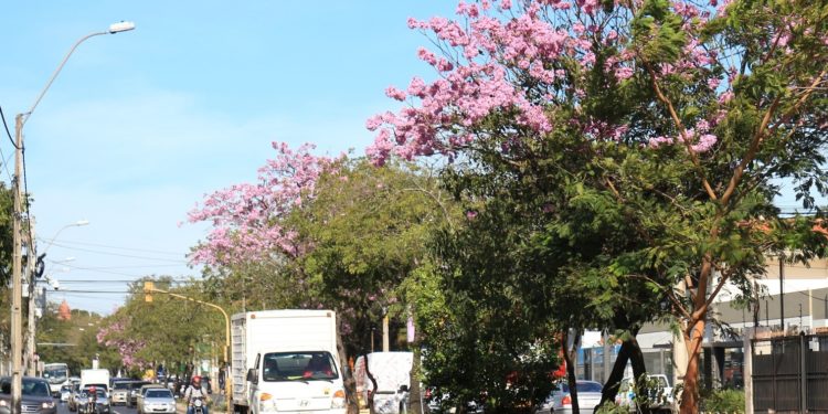 Meteorología anuncia un jueves con clima fresco a cálido
