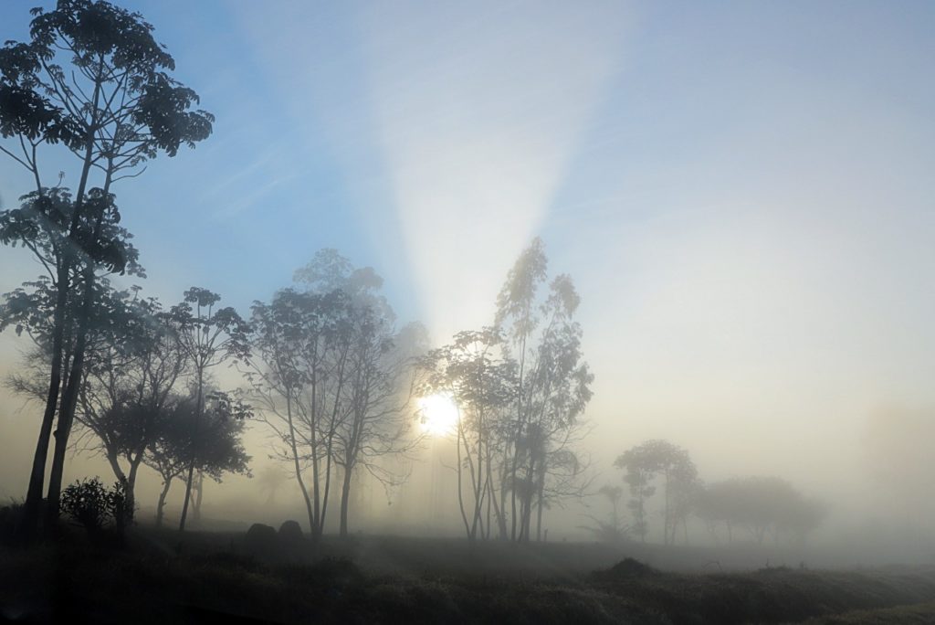 Anuncian un día fresco a cálido con neblinas en las primeras horas Anuncian un día fresco a cálido con neblinas en las primeras horas