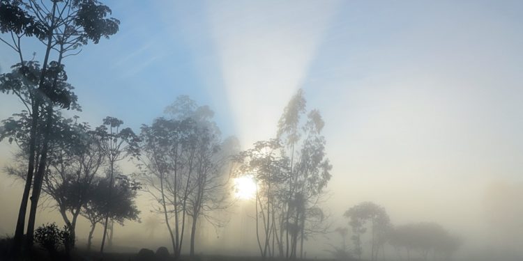 Anuncian un día fresco a cálido con neblinas en las primeras horas Anuncian un día fresco a cálido con neblinas en las primeras horas