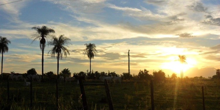 Anuncian fin de semana fresco a cálido Anuncian fin de semana fresco a cálido