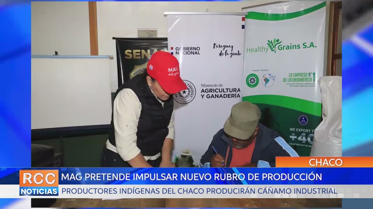 Productores indígenas del Chaco cultivarán cáñamo industrial
