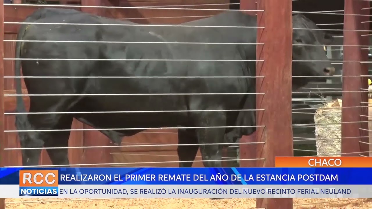 Aumentan hospitalizaciones por virus sincitial respiratorio