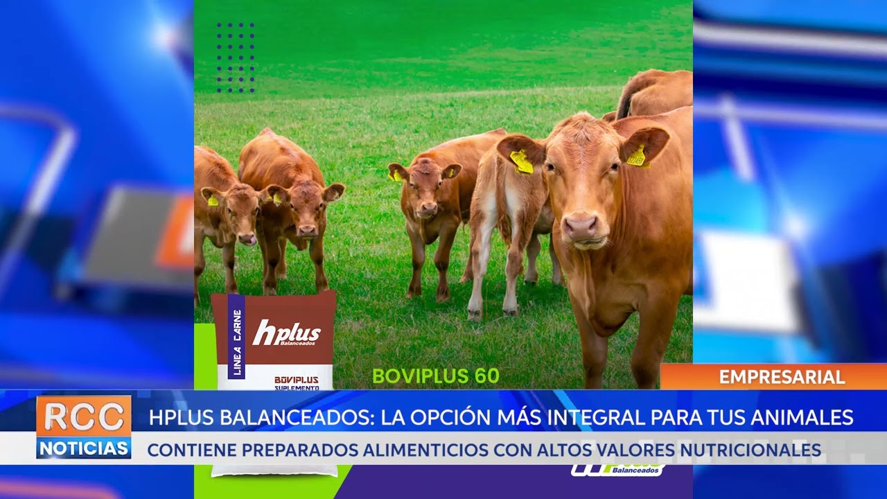 HPlus Balanceados: la opción más integral para tus animales