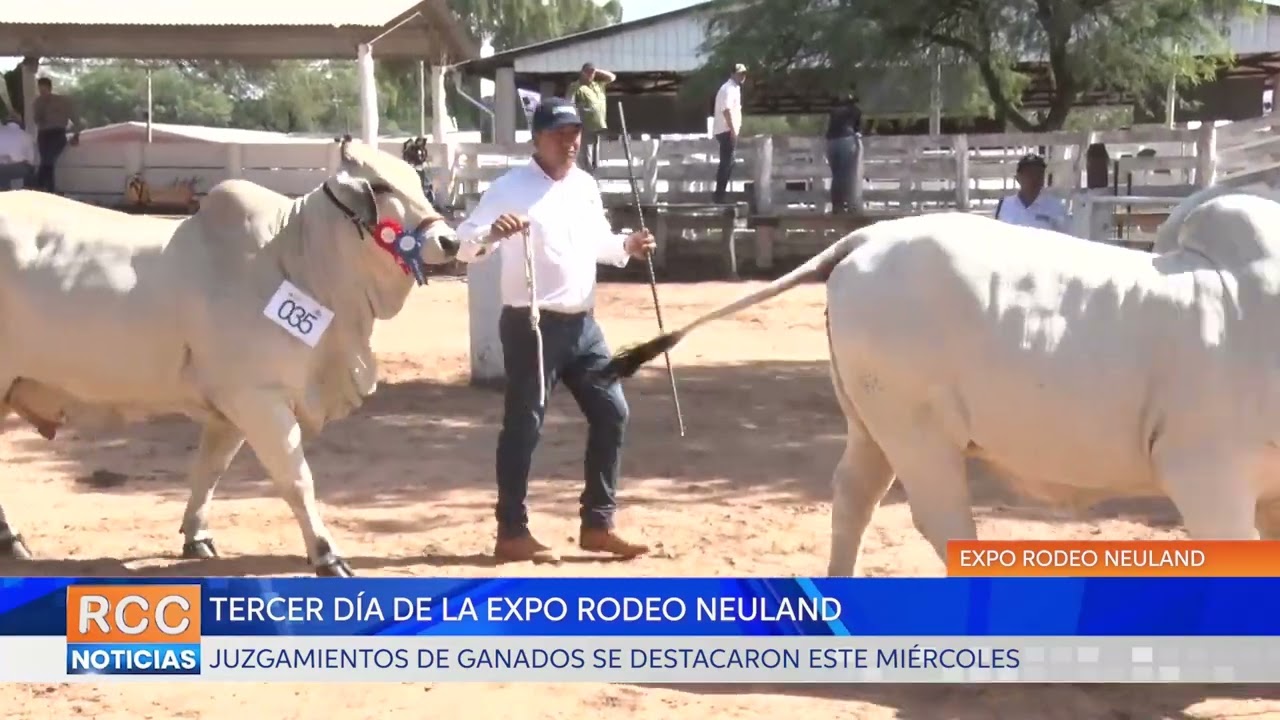 El tercer día de la Expo Rodeo Neuland se destacó por presentar juzgamientos de ganados