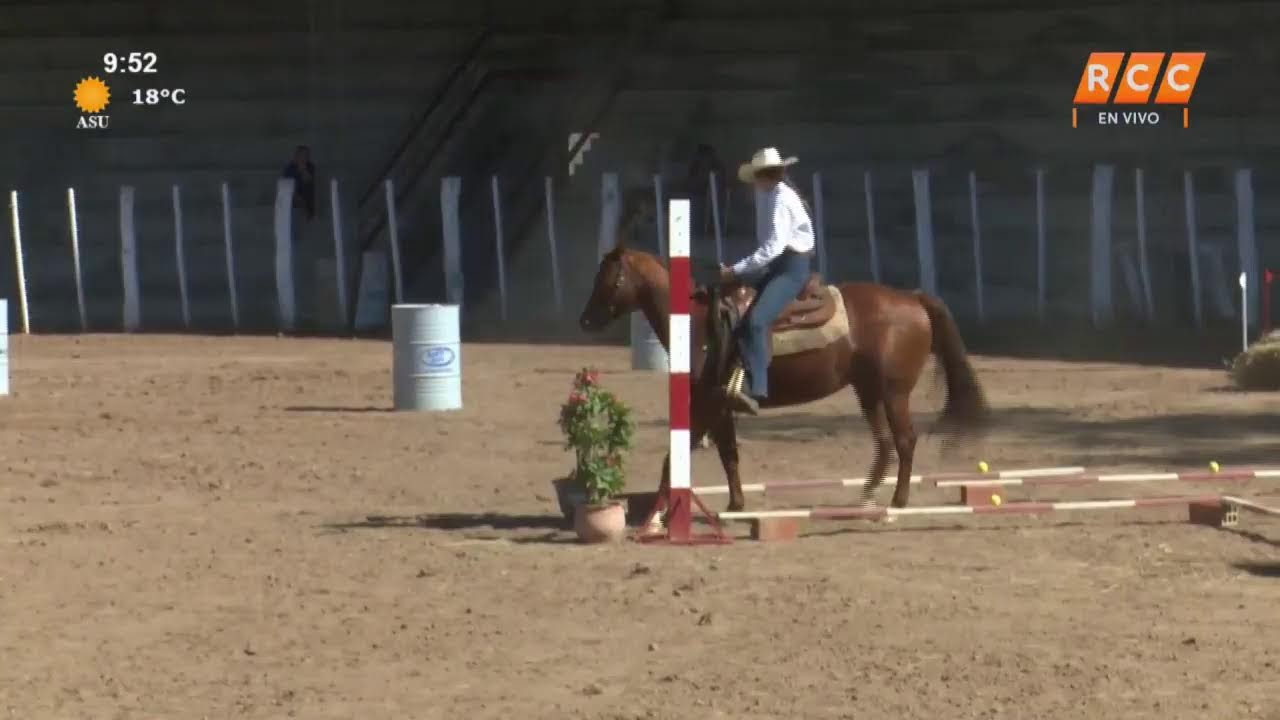 Expo Rodeo Neuland 2023