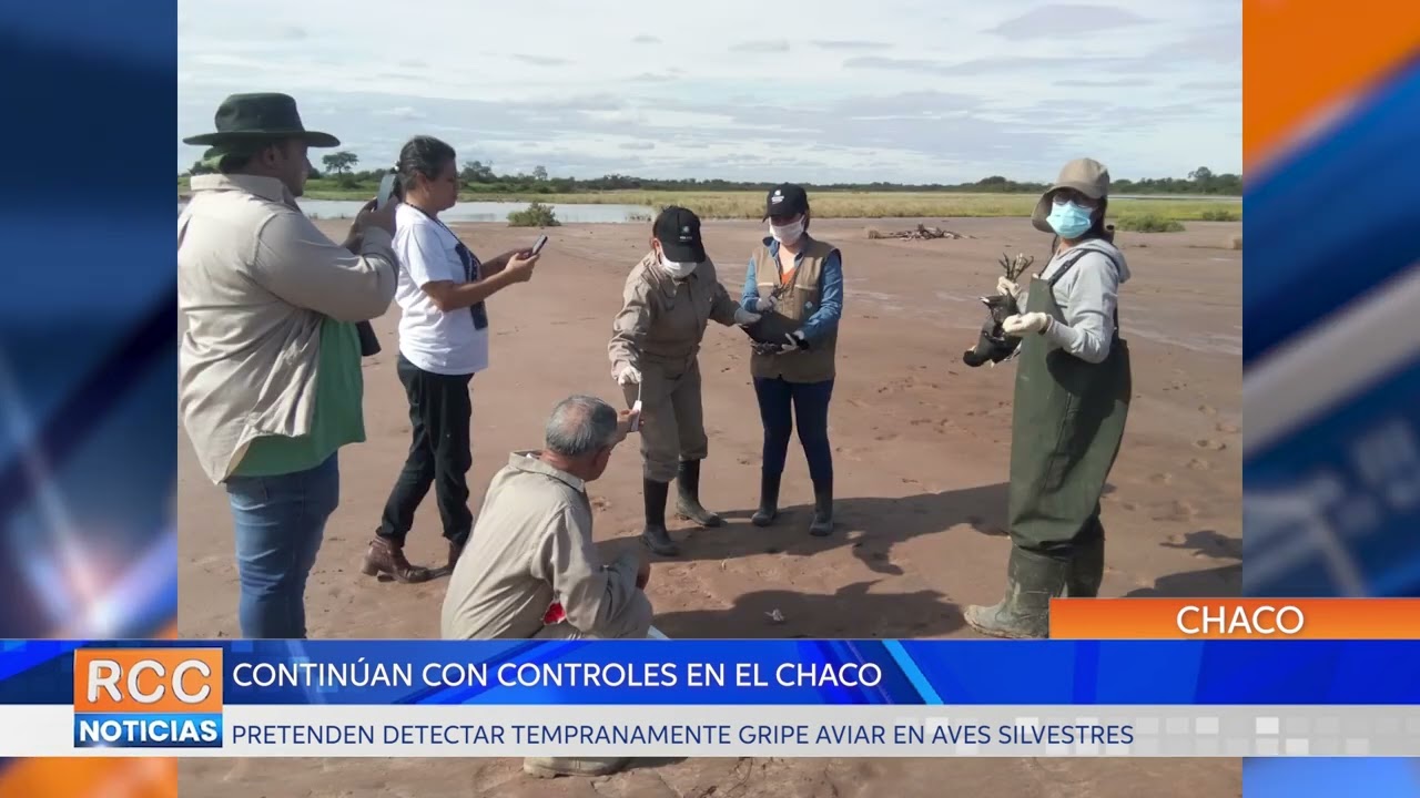 Continúan los monitoreos de vigilancia a la detección del virus de la gripe aviar en el Chaco