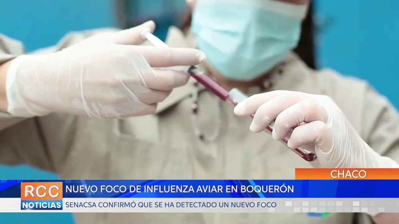 Senacsa confirma un nuevo foco de Influenza Aviar