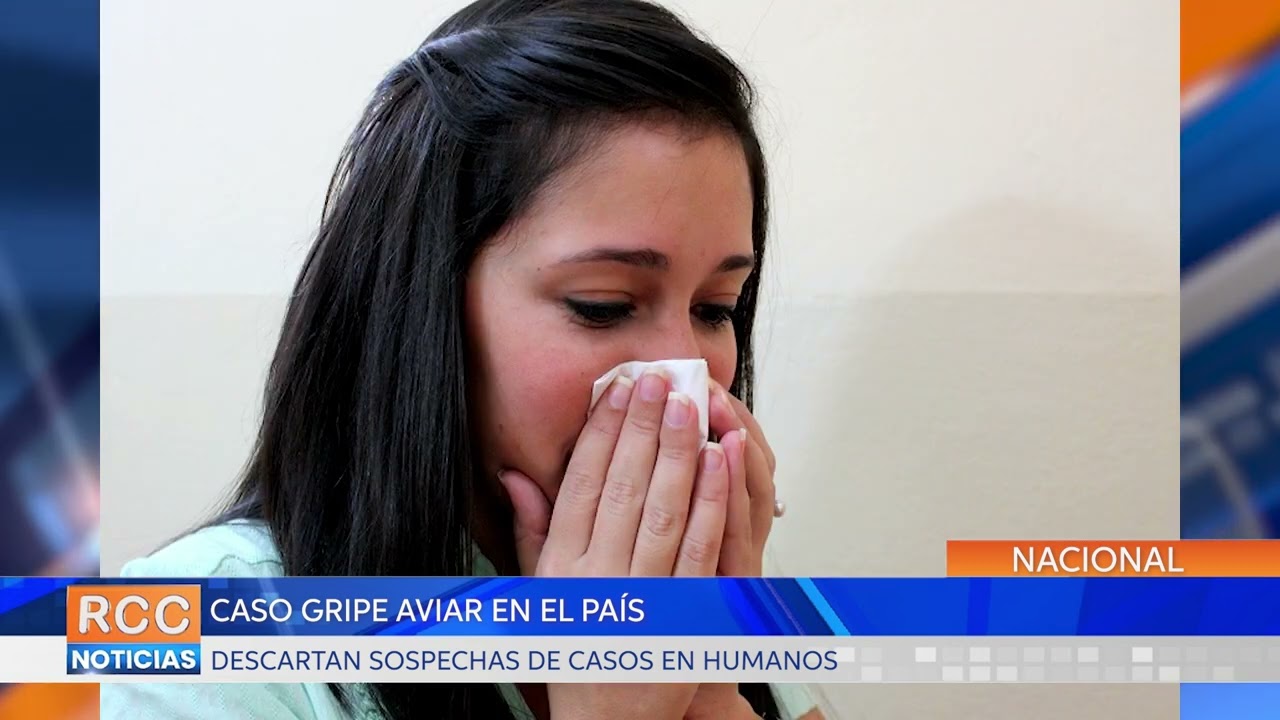 Gripe Aviar: Descartan sospechas de casos en humanos