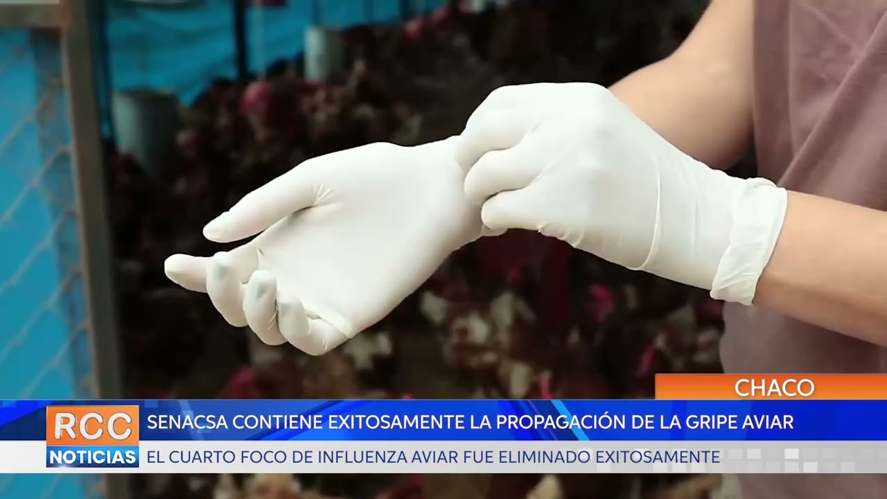 Senacsa contiene exitosamente la propagación de la Gripe Aviar