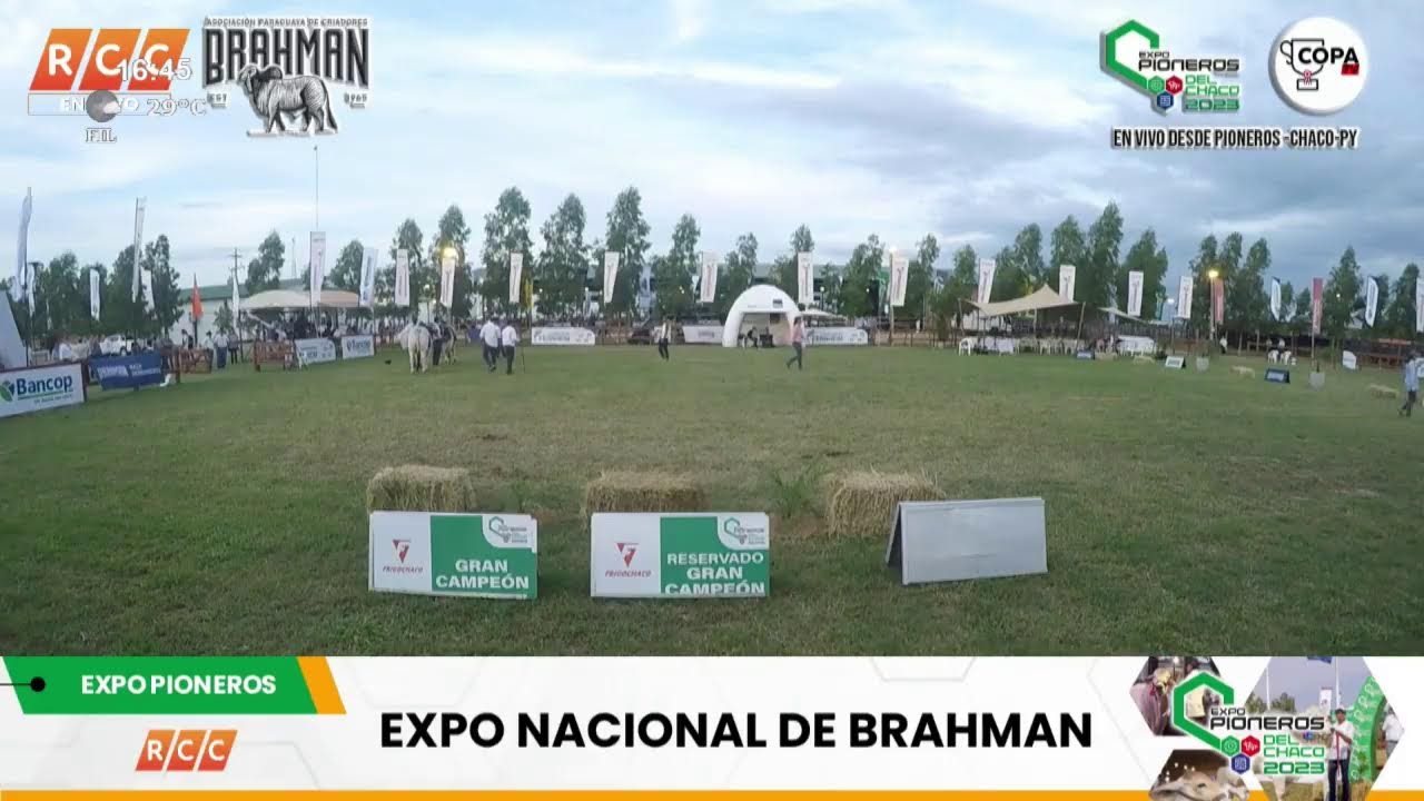 Expo Pioneros 2023 – Juzgamiento de Ganados.