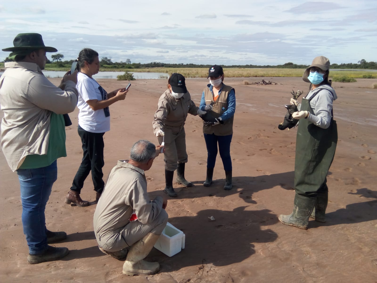 Continúan los monitoreos de vigilancia a la detección temprana del virus de la gripe aviar en el Chaco