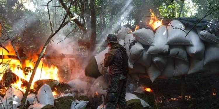 SENAD y FTC culminan fase V de la Operación CUT con más de 100 toneladas de sustancias ilícitas incautadas