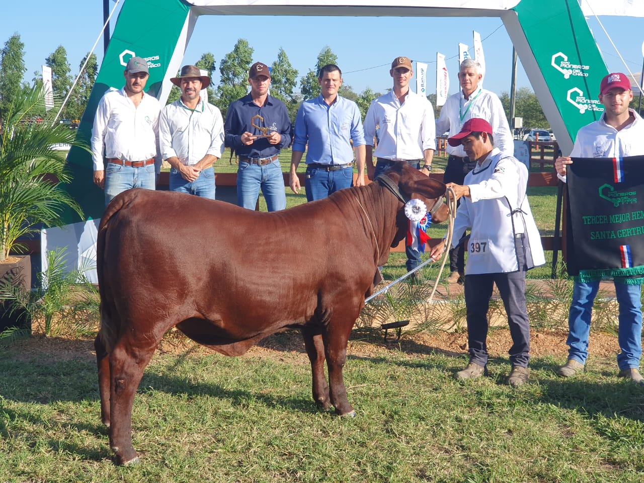 Chacra Experimental de la Cooperativa Fernheim, una vez más, distinguida por su calidad