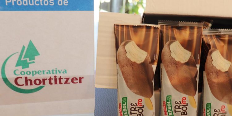 Lácteos Trébol incursiona en la línea de los helados y arroja “Trebolito”
