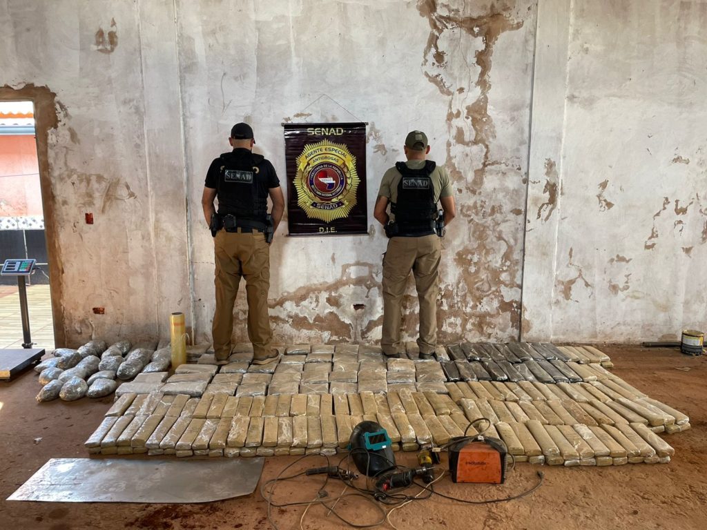 Senad anula centros de producción y acopio de marihuana en Amambay y Concepción Senad anula centros de producción y acopio de marihuana en Amambay y Concepción