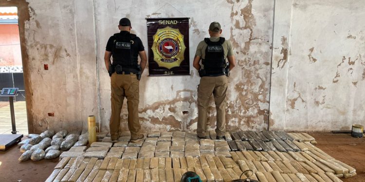 Senad anula centros de producción y acopio de marihuana en Amambay y Concepción