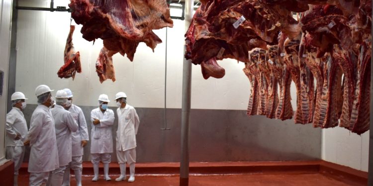 Finalizaron las gestiones para la exportación de carne a norteamérica Finalizaron las gestiones para la exportación de carne a norteamérica