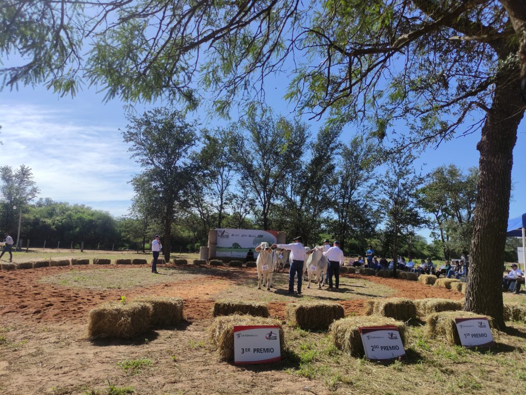 Expo Rodeo Neuland pisa con fuerza en su tercer día de exposición