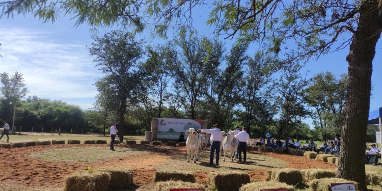 Expo Rodeo Neuland pisa con fuerza en su tercer día de exposición Expo Rodeo Neuland pisa con fuerza en su tercer día de exposición