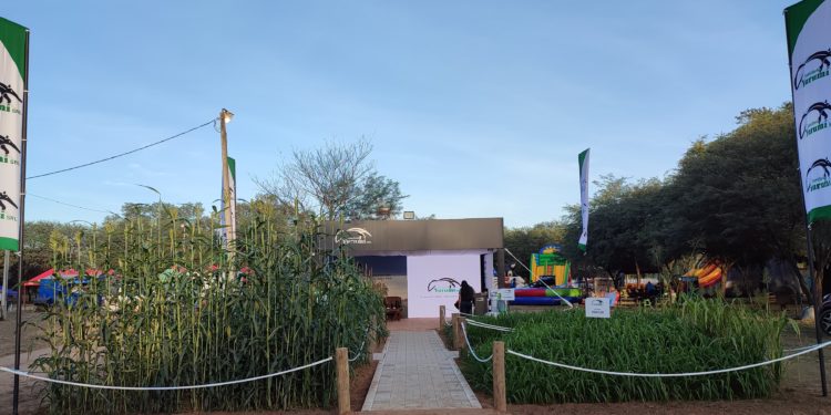 Semillería Yurumí S.R.L. marca por primera vez presencia en la Expo Rodeo Neuland