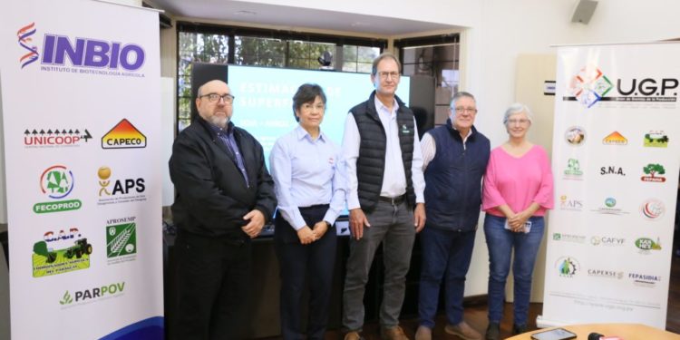 Paraguay presenta una recuperación en la siembra y zafra de soja, arroz y maíz