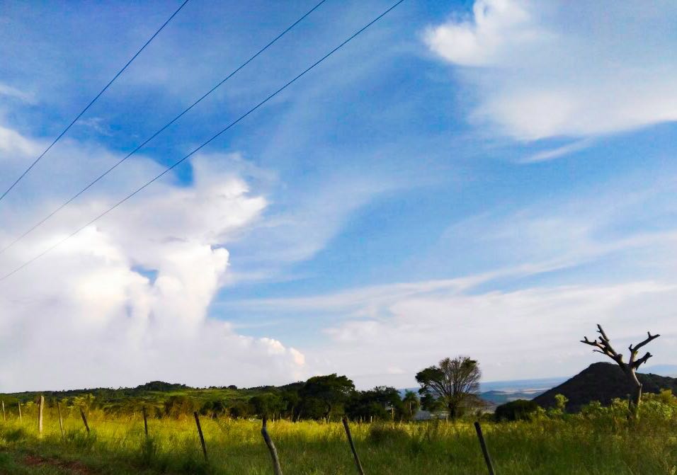 Mitad de semana con ambiente fresco a cálido y vientos del sur