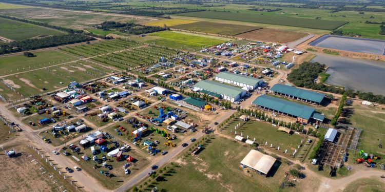 Se pone en marcha en el Chaco Expo Pioneros 2023 Se pone en marcha en el Chaco Expo Pioneros 2023