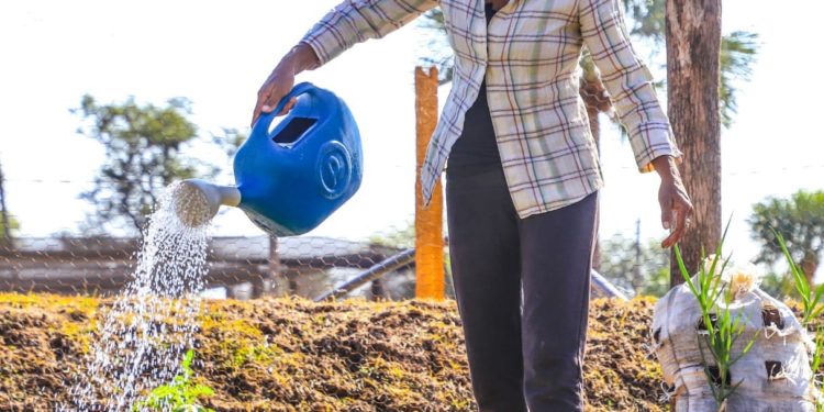 Datos del Censo Agropecuario Nacional 2022 se publicarán a finales de junio