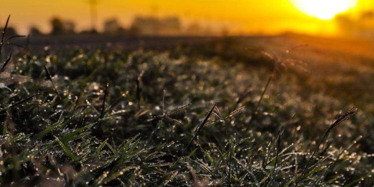 El invierno arranca con temperaturas cálidas y lluvias dispersas