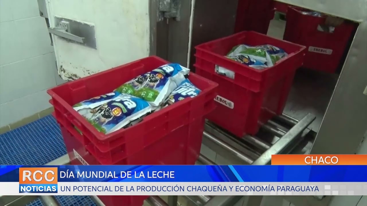 Día Mundial de la Leche: “Un potencial de la producción chaqueña y economía paraguaya”