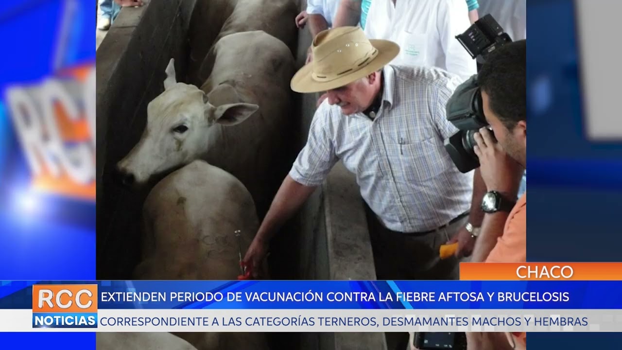 Se extiende periodo de vacunación contra la fiebre aftosa y brucelosis