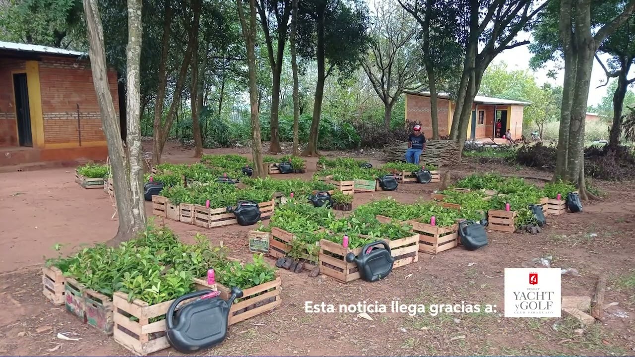 Caaguazú: Familias de la Comunidad Indígena Pindo’i reciben asistencia por parte del INDI