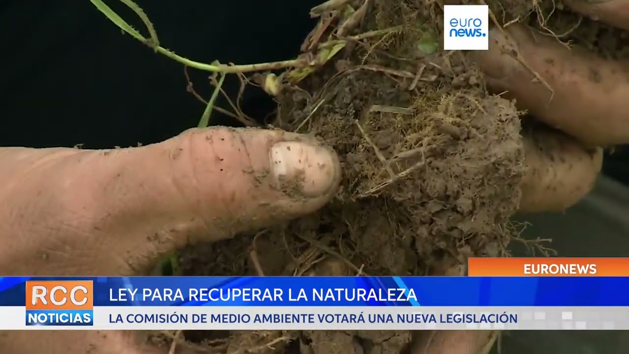 La ley para recuperar la naturaleza que preocupa a los agricultores