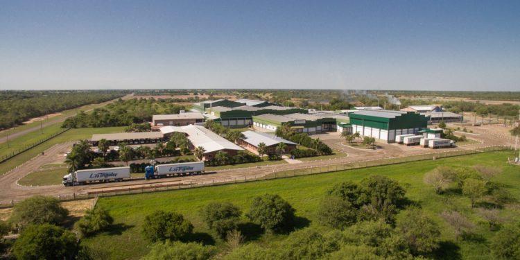 Cooperativa Chortitzer Ltda. decide incorporarse al mercado de capitales emitiendo bonos en la Bolsa de Valores de Asunción Cooperativa Chortitzer Ltda. decide incorporarse al mercado de capitales emitiendo bonos en la Bolsa de Valores de Asunción