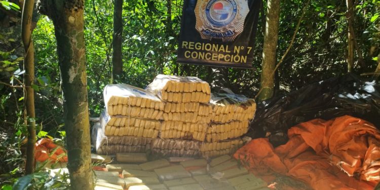 SENAD anula más de 12 toneladas de marihuana en Concepción