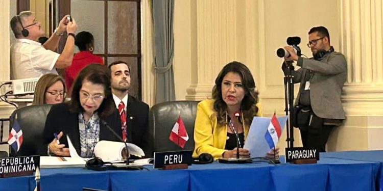 Paraguay se presenta firme ante la OEA en la Defensa de la Vida y la Familia    