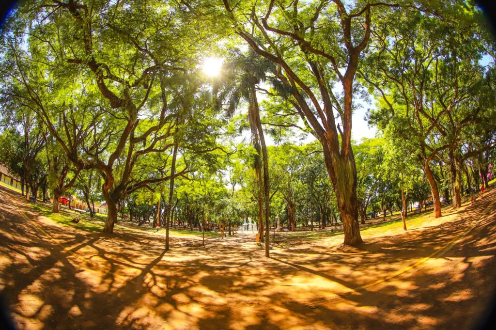 Miércoles con ambiente cálido y vientos del noreste Miércoles con ambiente cálido y vientos del noreste