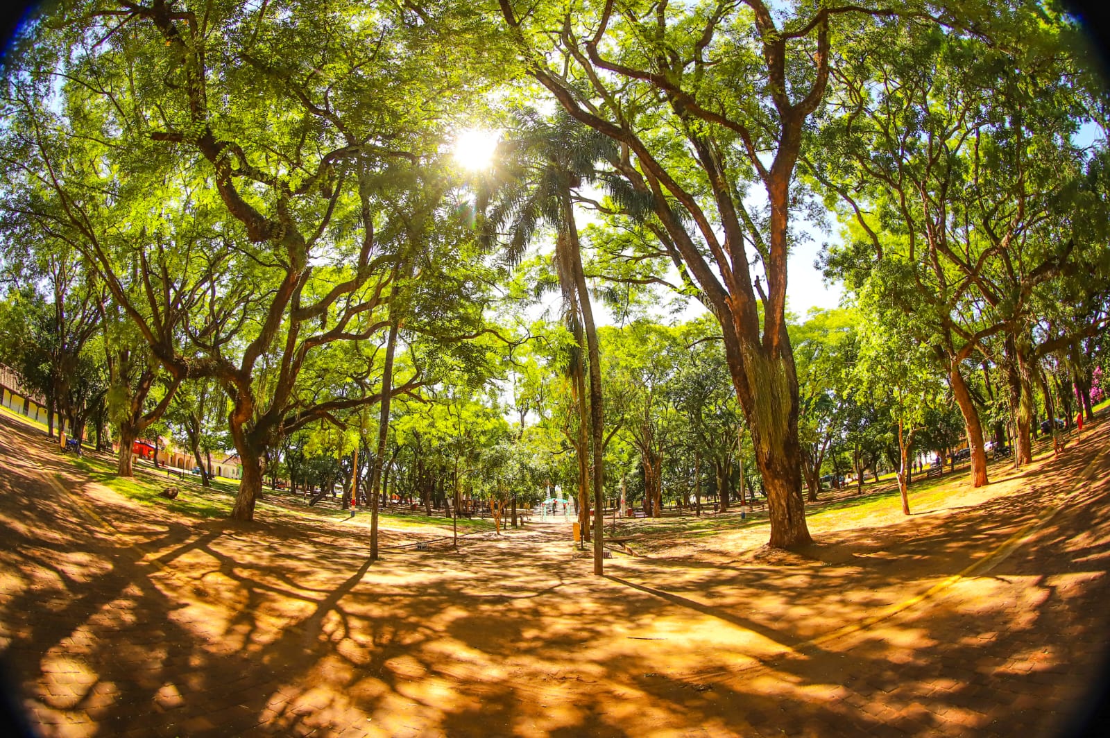 Miércoles con ambiente cálido y vientos del noreste
