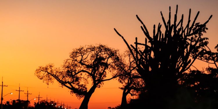 Martes fresco a cálido con vientos variables