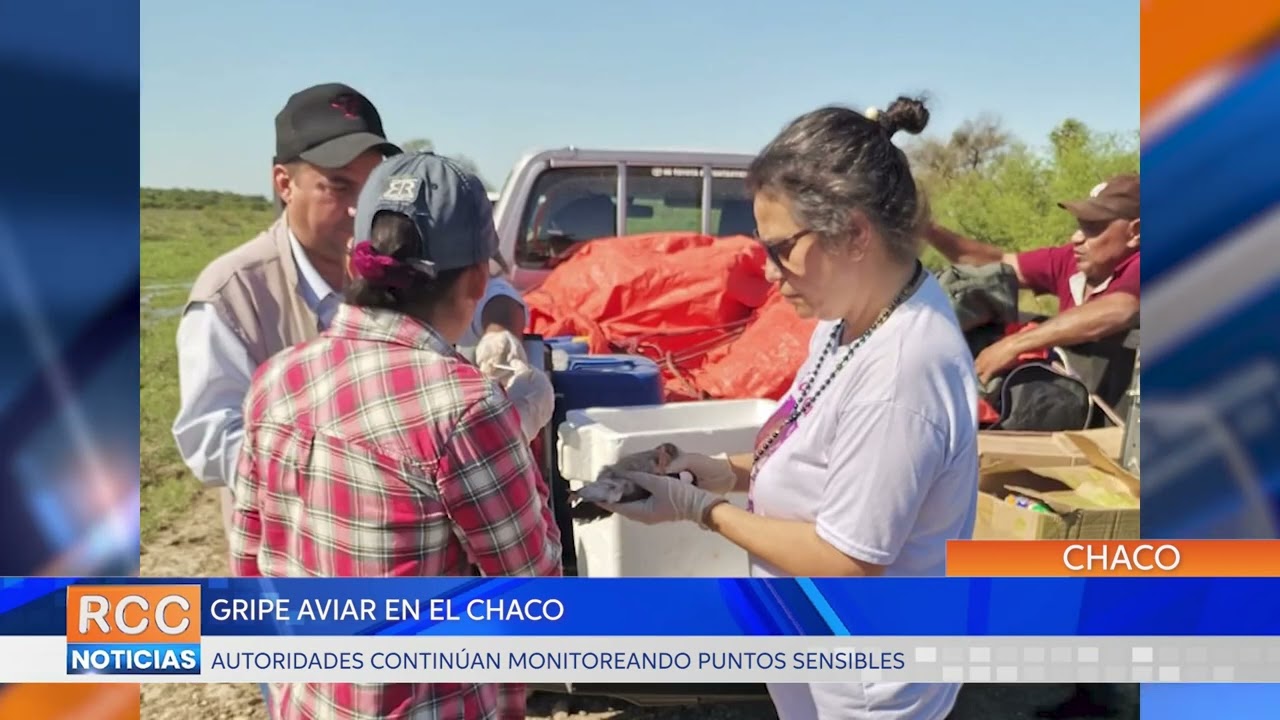 Gripe Aviar en el Chaco: autoridades continúan monitoreando puntos sensibles
