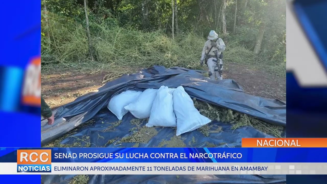 Continúa la lucha de la Senad contra el narcotráfico en Amambay