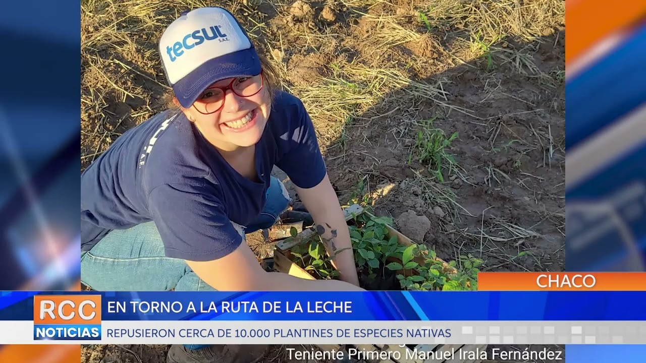 Ruta de la Leche: Cerca de 10.000 plantines se repusieron en torno a las obras