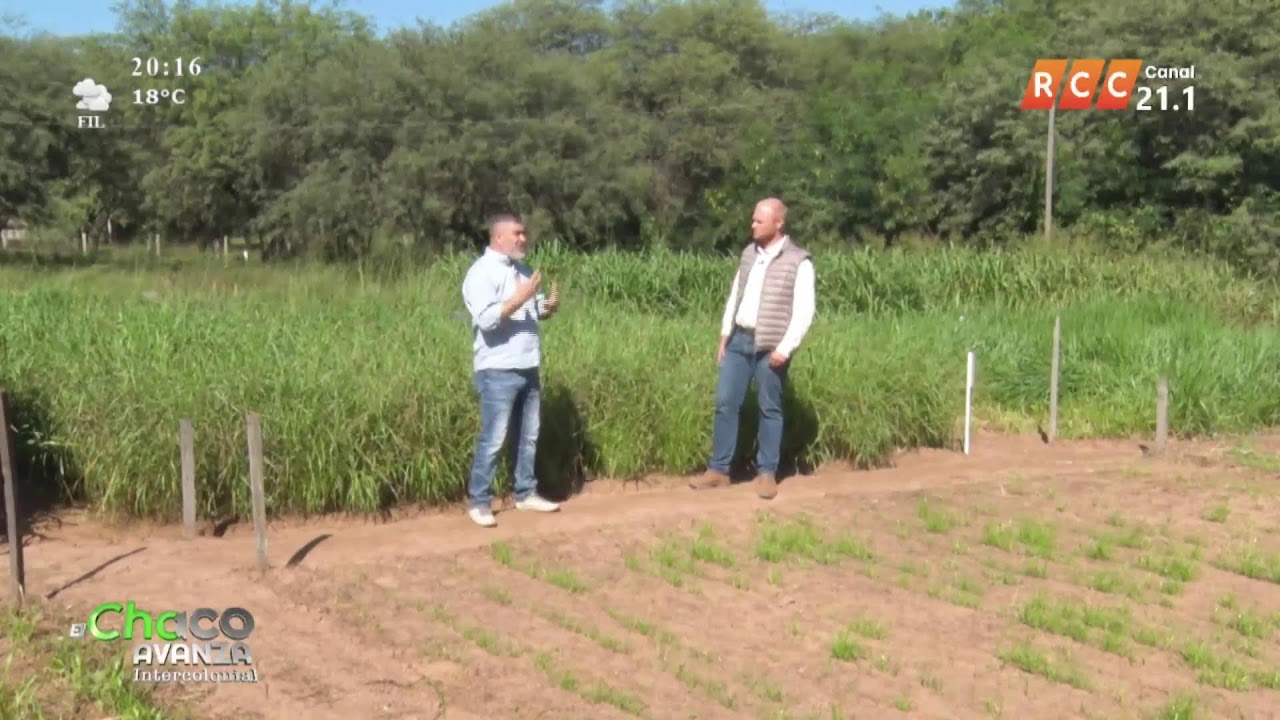 El Chaco Avanza Intercolonial