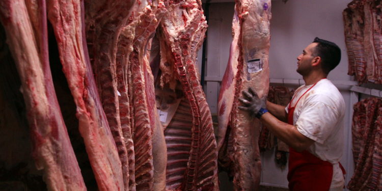Carne bovina entre las principales exportaciones en los primeros meses del 2023 Carne bovina entre las principales exportaciones en los primeros meses del 2023
