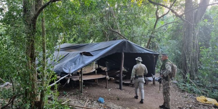 Continúa la lucha de la Senad contra el narcotráfico en Amambay